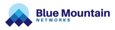 From Tight Deadlines to Flawless Deliverables: Why Blue Mountain Networks Chooses Collaborative Synergy